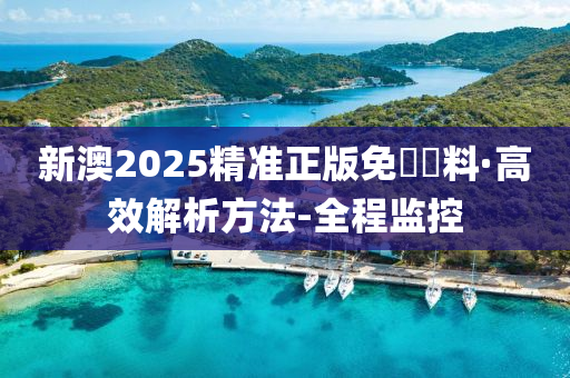 新澳2025精准正版免費資料,详细解答、解释与落实