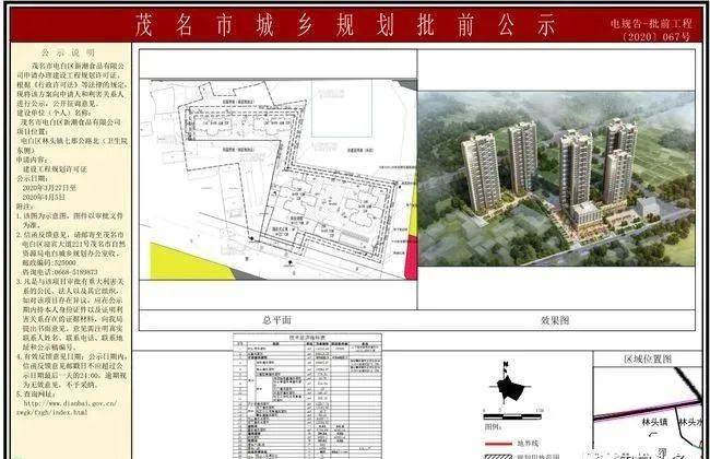 电白区林头最新规划图