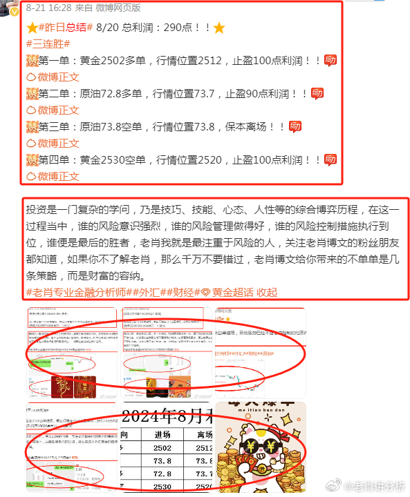 全面释义与落实，澳门一肖一码的深度解析