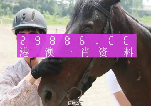 澳门一肖一码一必中一肖精华区，词语释义与现实应用解析