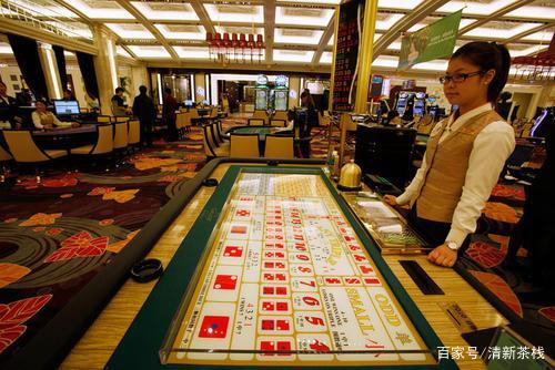 全面释义与落实，新澳门王中王六肖中特现象的深度剖析