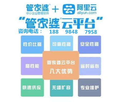 澳门管家婆10%精准，释义、解释与落实的全面探讨