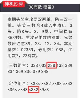 2025澳门特马今晚开什么码，理性解析与责任落实