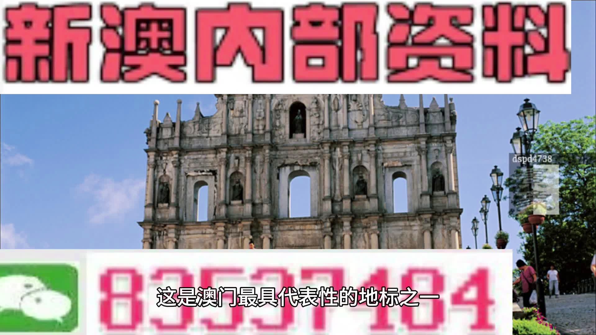 澳门今晚上必开一肖，词语释义解释落实