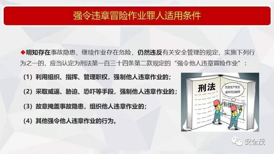 2025新奥正版资料免费提供，全面释义解释落实