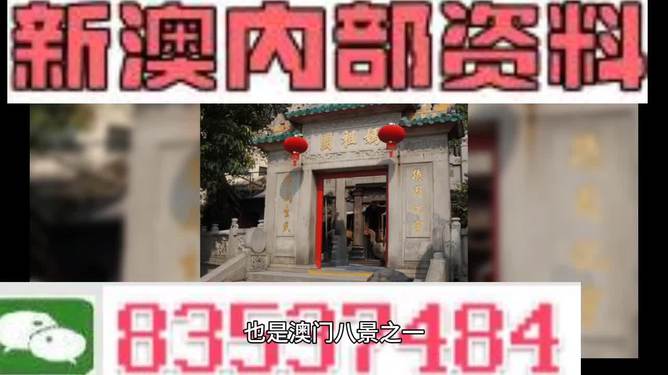 新澳门资料免费大全，全面释义解释落实