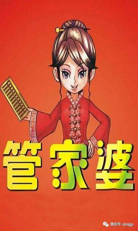 澳门管家婆100，词语释义解释落实