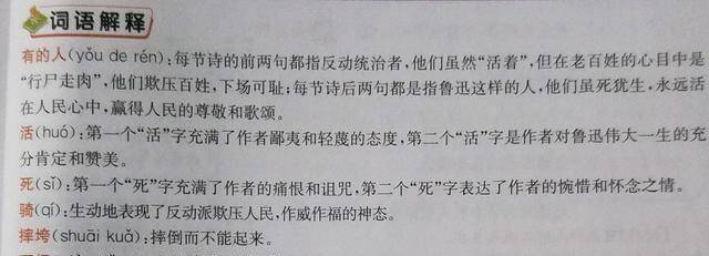 澳门一码一肖一待一中直播，词语释义解释落实